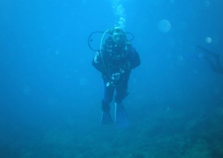  Photo of a diver